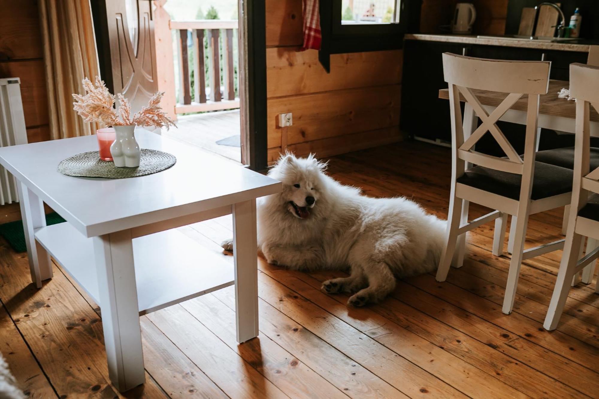 Domki,,Chatki Goralskie " Rabka Ngoại thất bức ảnh